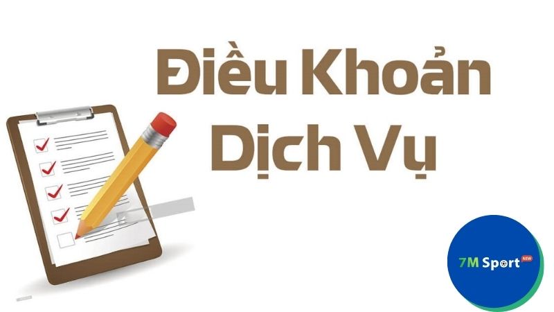 Cập nhật các quy định trong chính sách điều khoản sử dụng tại 7M
